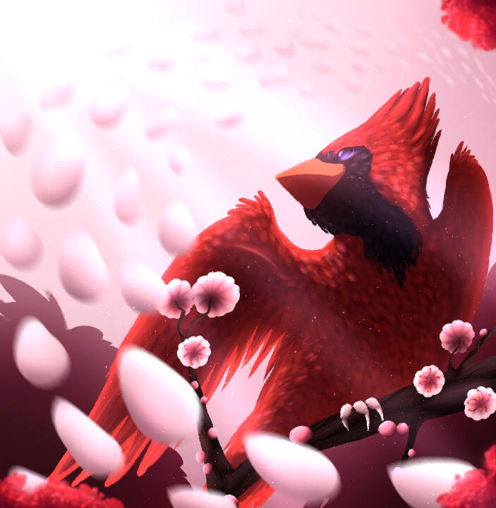 Digital Illustration